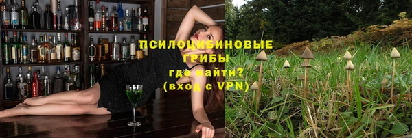 мяу мяу мука Арсеньев