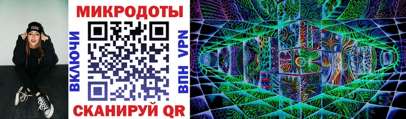 Псилоцибиновые грибы Psilocybine cubensis  Камешково 